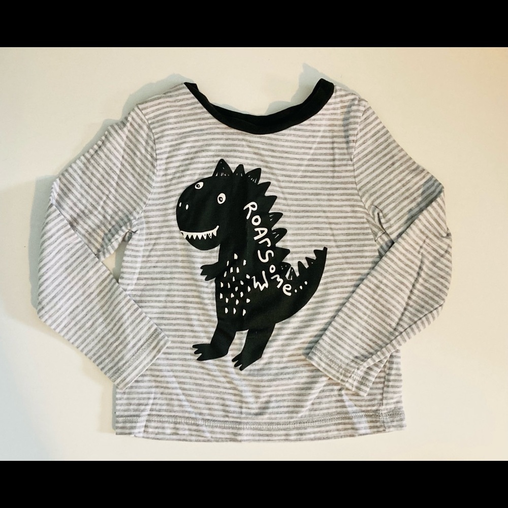 Dinosaur long sleeve tee